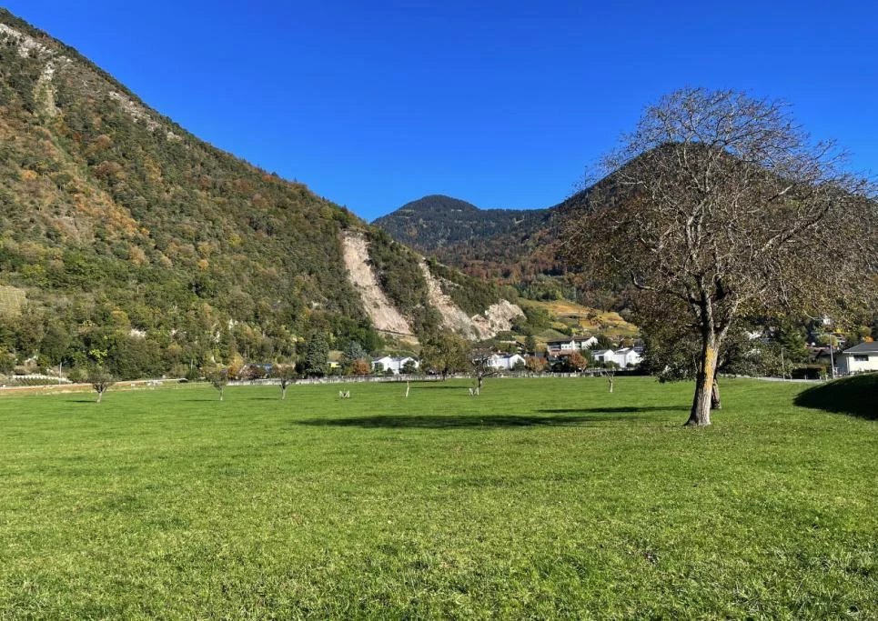 Baugrundstück (Randzone 2000) - View 2