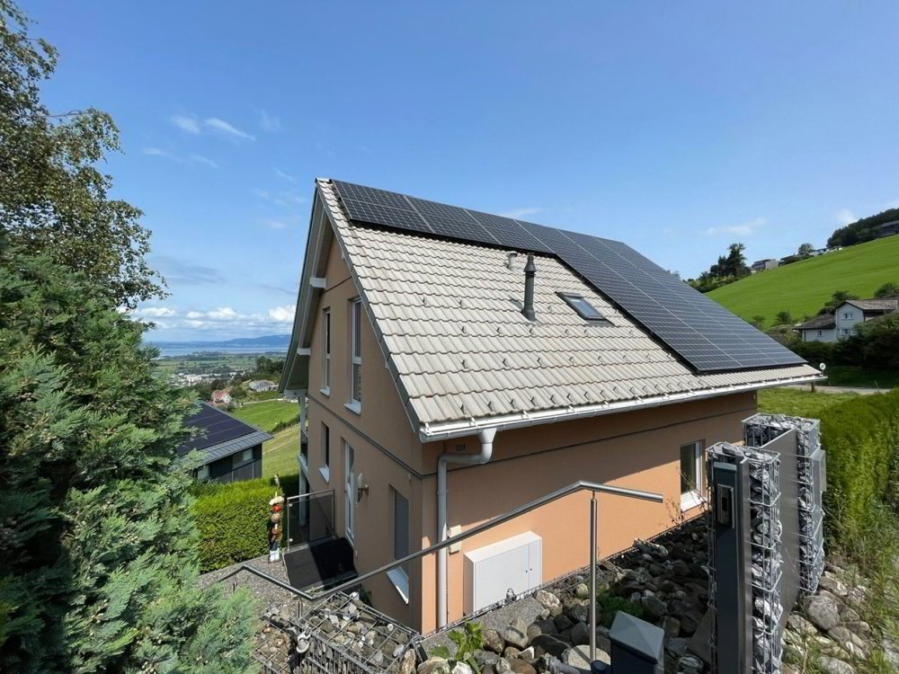 5.5 rooms House to buy in Lutzenberg - image 1/24