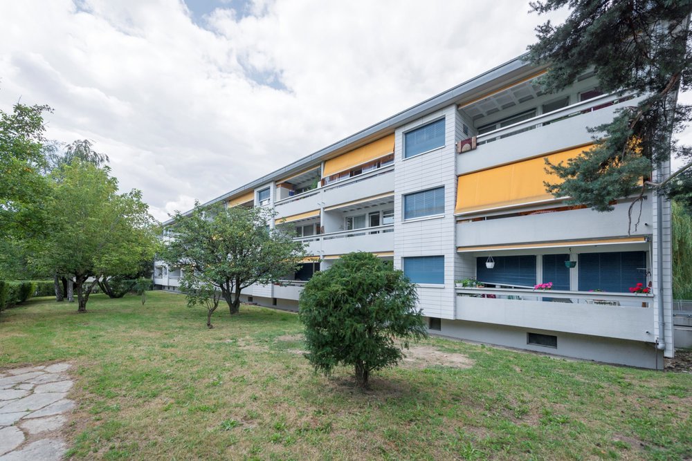 Ufficio & Commercio di null locali in affitto a Meyrin - immagine 1/1