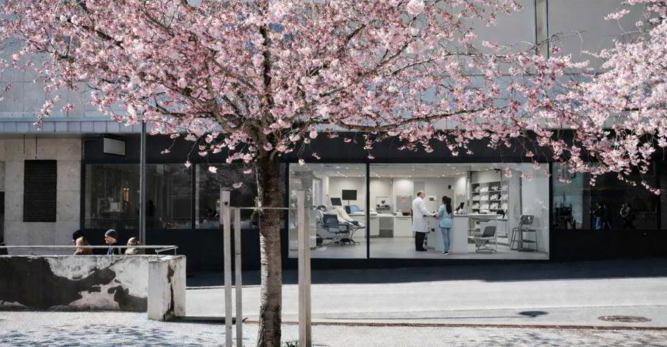 Ufficio & Commercio di null locali in affitto a Sion - immagine 1/13
