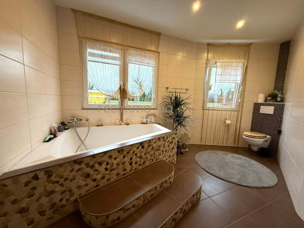 10.5 rooms House to buy in Leibstadt - image 1/4