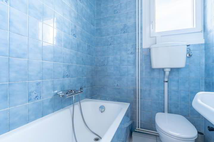 5.5 rooms House to buy in Chambésy - image 1/13