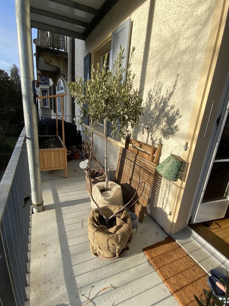 Appartement 3 pièces à louer à Berna - image 1/7