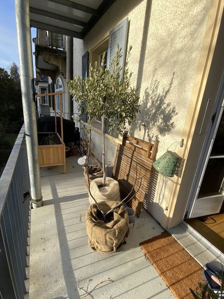 Appartamento di 3 locali in affitto a Bern - immagine 1/7
