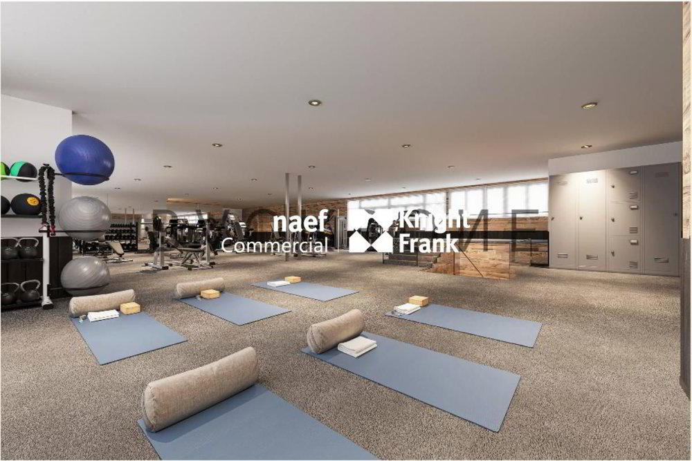 Ufficio & Commercio di null locali in affitto a Geneva - immagine 1/5
