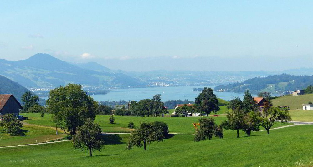 Appartamento di 3 locali in vendita a Gommiswald - immagine 1/1