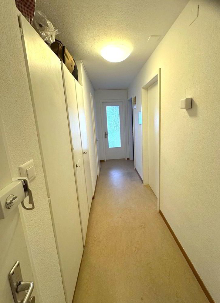 Appartamento di 3 locali in affitto a Dulliken - immagine 1/5