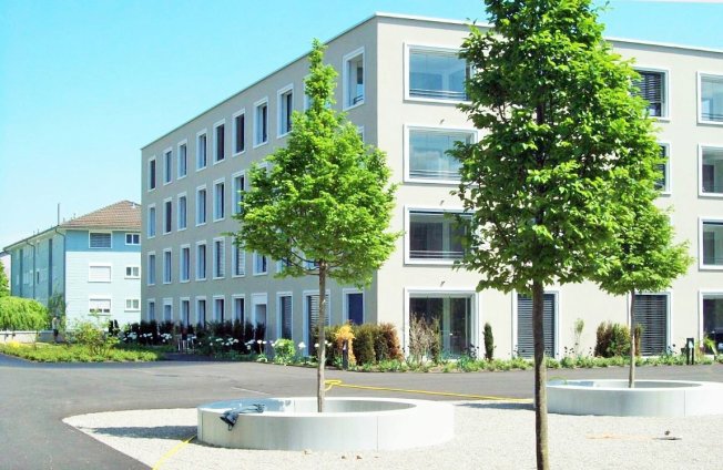 Appartamento di 2 locali in affitto a Wil SG - immagine 1/1