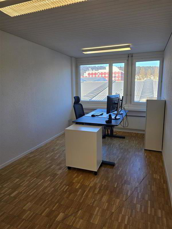 Bureau & Commerce null pièces à louer à Dietikon - image 1/9