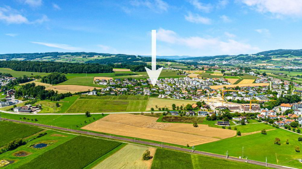 4.5-Zimmer-Reihen-Eckhaus mit grossem Garten und toller Aussicht - Vista 3