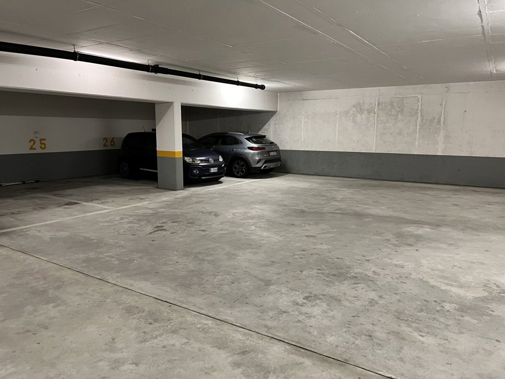Appartement 4.5 pièces à acheter à Brissago - image 1/20