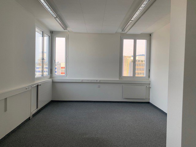 Bureau & Commerce null pièces à louer à Urdorf - image 1/10