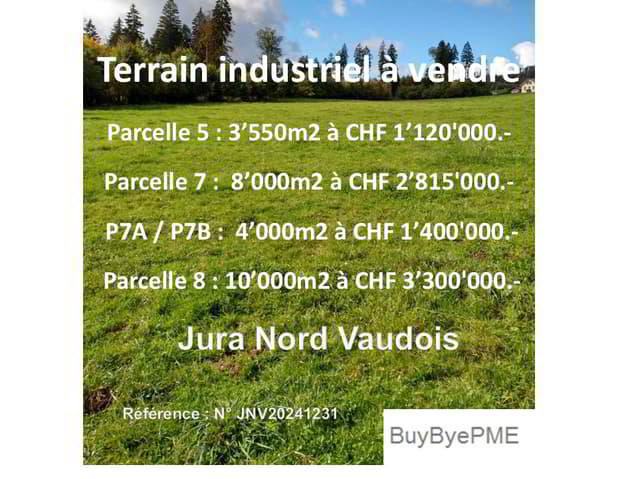 Terreno di null locali in vendita a Romainmôtier - immagine 1/3
