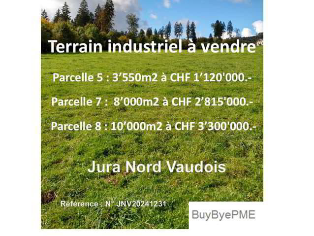Terreno di null locali in vendita a Romainmôtier - immagine 1/3