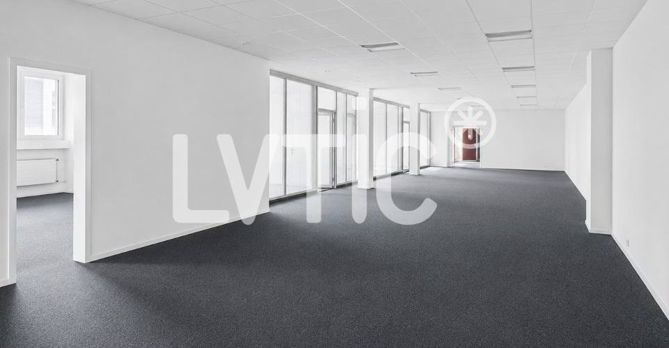 null rooms Office & Commercial for rent in Renens VD - image 1/11