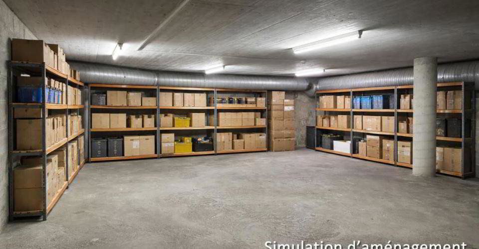 null rooms Office & Commercial for rent in Crissier - image 1/9
