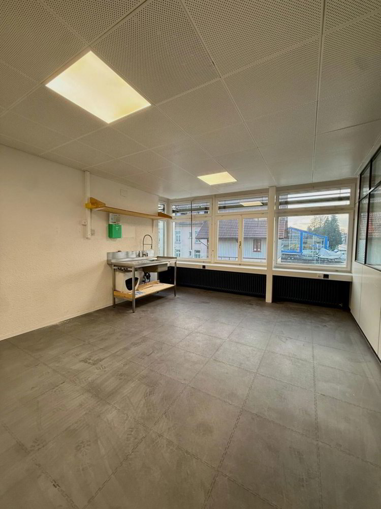 null rooms Office & Commercial for rent in Arbon - image 1/6