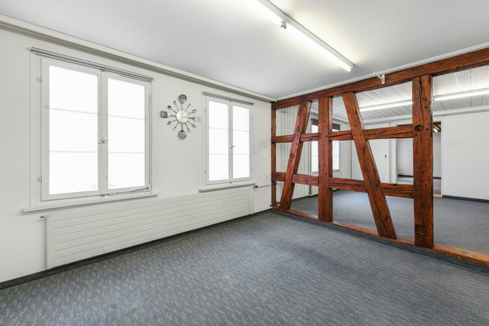12 Zimmer Haus zum verkaufen in Herisau - Bild 1/13