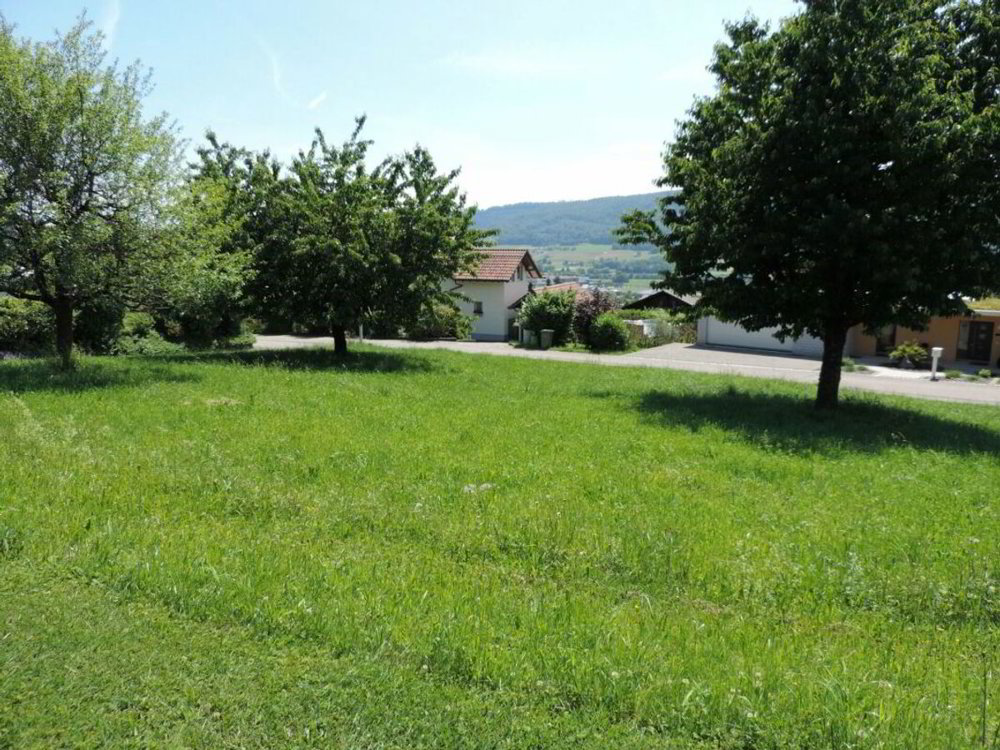 Terrain null pièces à acheter à Hägendorf - image 1/13