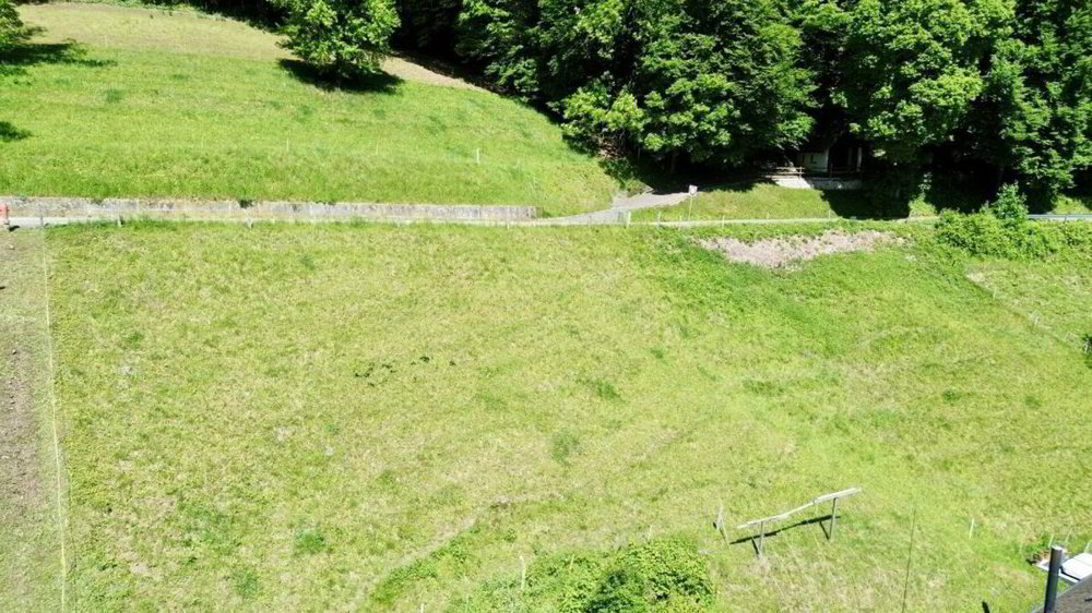 Terrain à bâtir en vente à Grindel - 794 m² - Ansicht 4