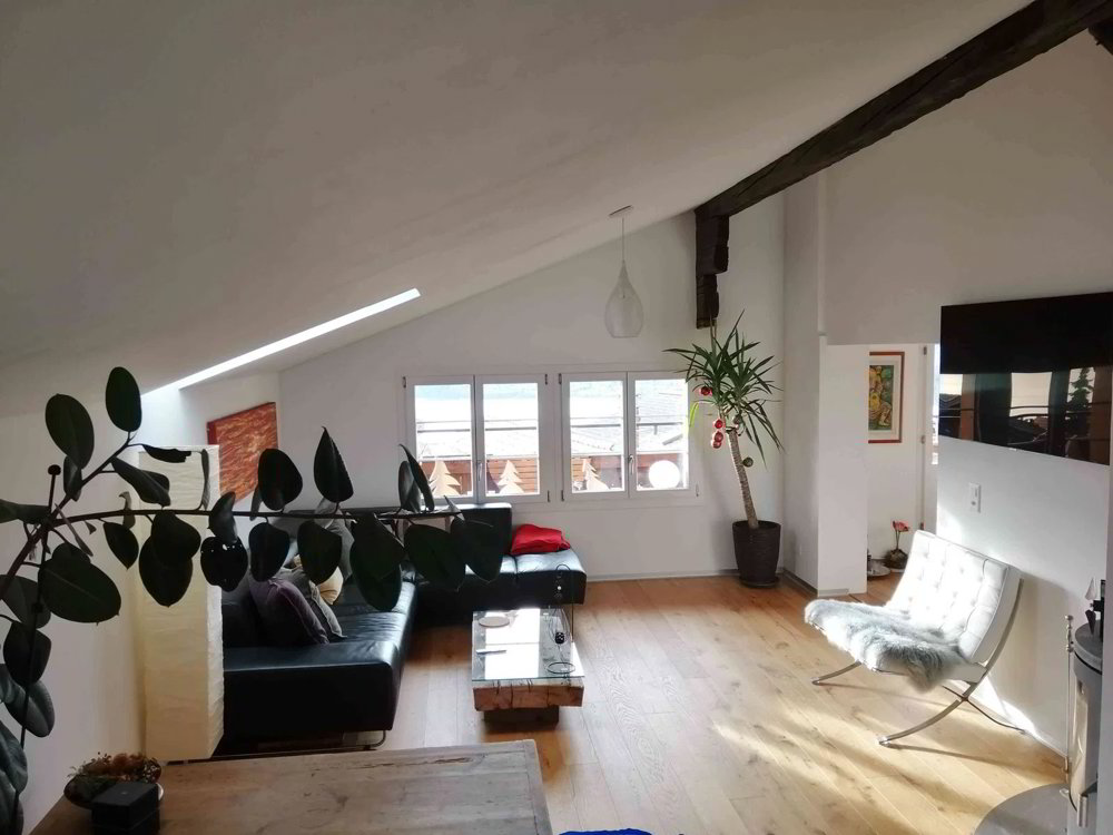 Appartamento di 3 locali in vendita a Tschingel - immagine 1/9