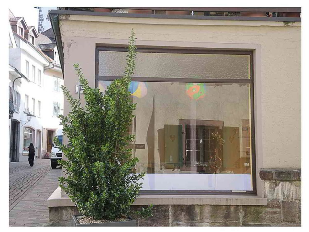 Bureau & Commerce 5.5 pièces à louer à Rheinfelden - image 1/9