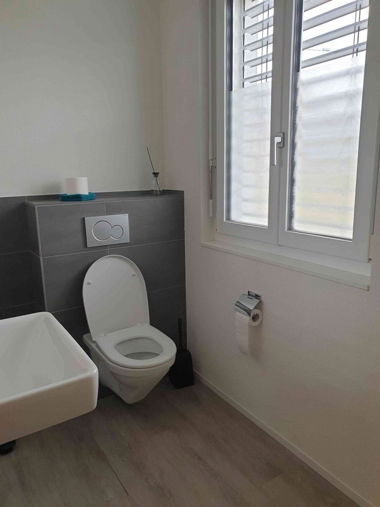 Ufficio & Commercio di 1 locali in affitto a Gelterkinden - immagine 1/4