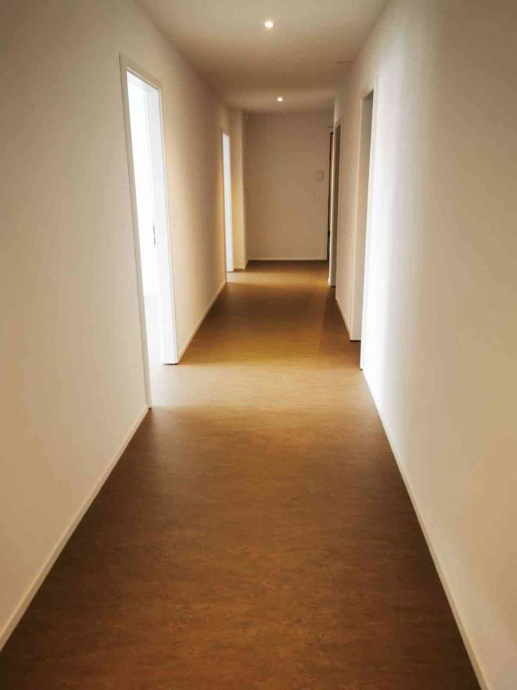 Ufficio & Commercio di 4 locali in affitto a Giffers - immagine 1/10