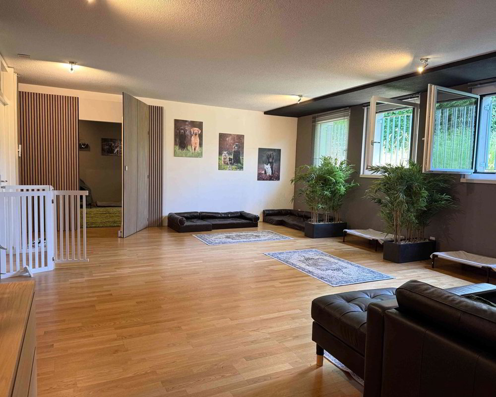 2.5 Zimmer Büro zu vermieten in Schwerzenbach - Bild 1/10