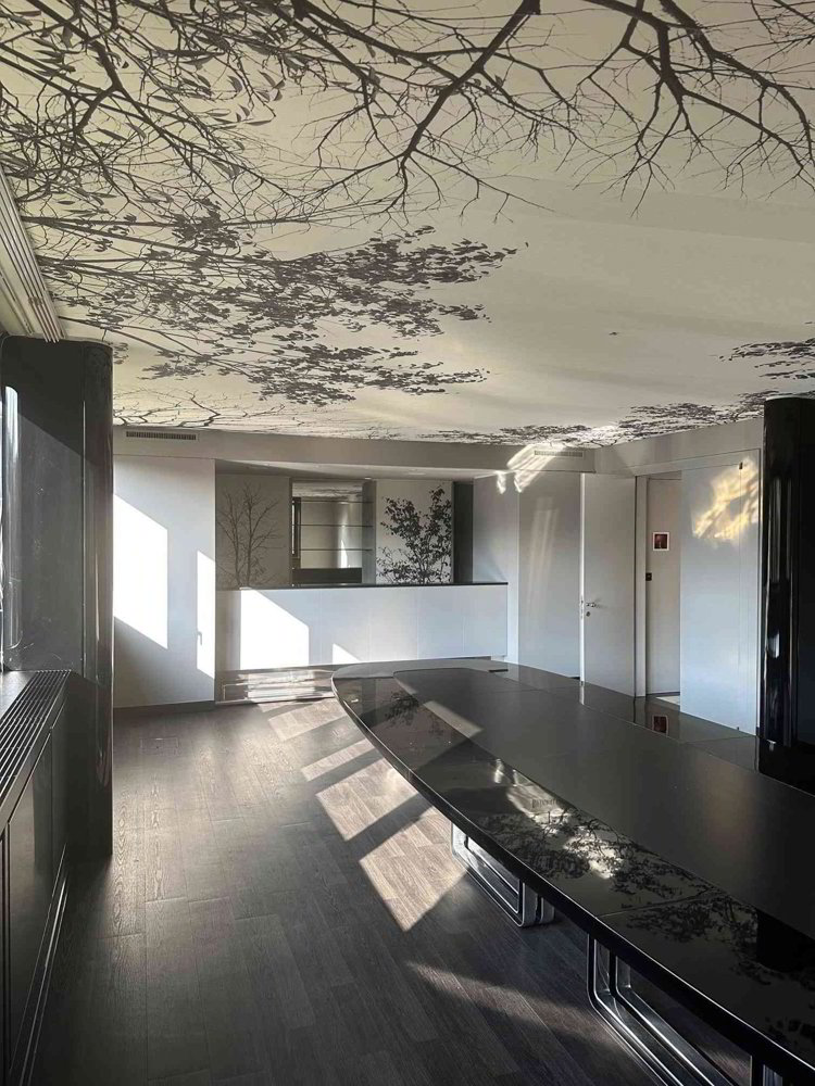 Ufficio & Commercio di 1 locali in affitto a Lugano - immagine 1/9