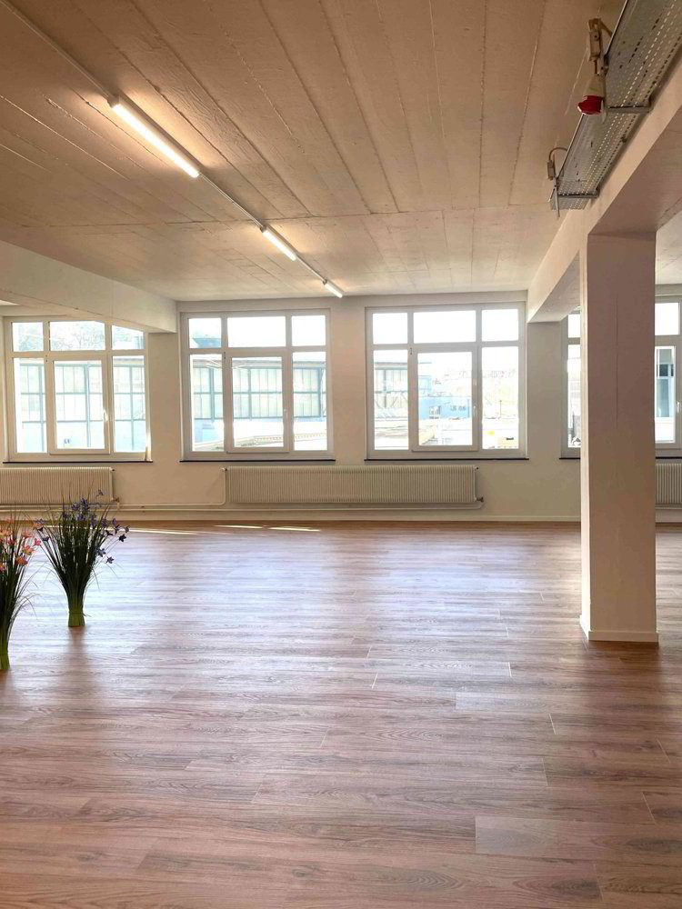 5 rooms Office & Commercial for rent in Bâle - image 1/9
