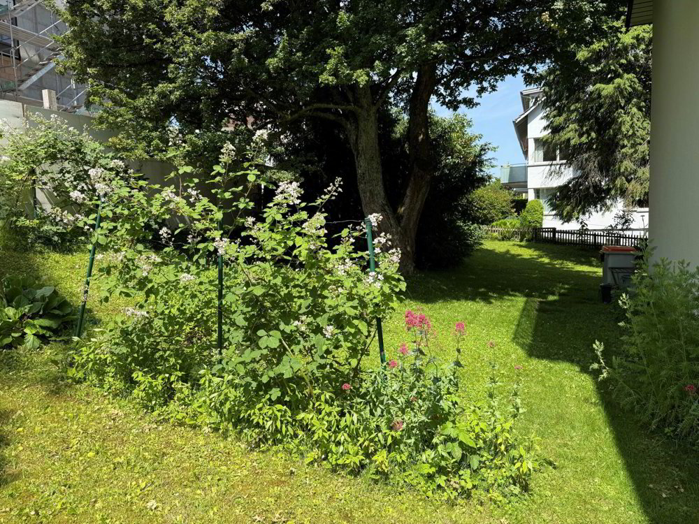 3 Zimmer Wohnung zum verkaufen in Zollikerberg - Bild 1/16