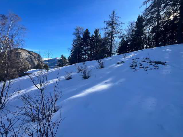 Terreno di null locali in vendita a Mayens-de-Chamoson - immagine 1/6