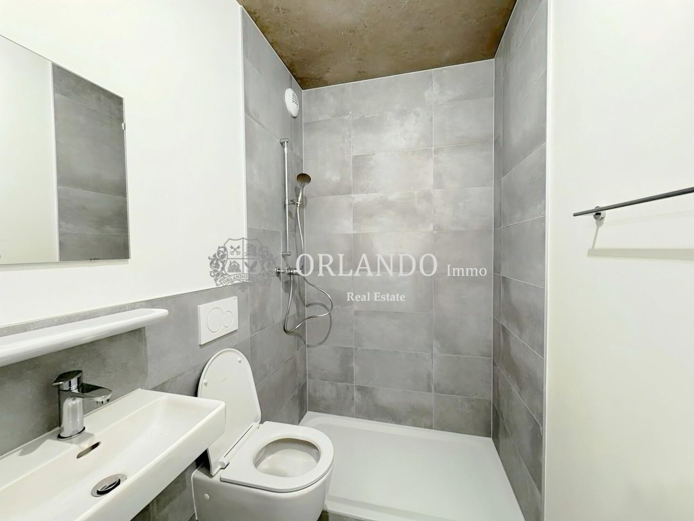 Appartamento di 5 locali in affitto a Carouge GE - immagine 1/7