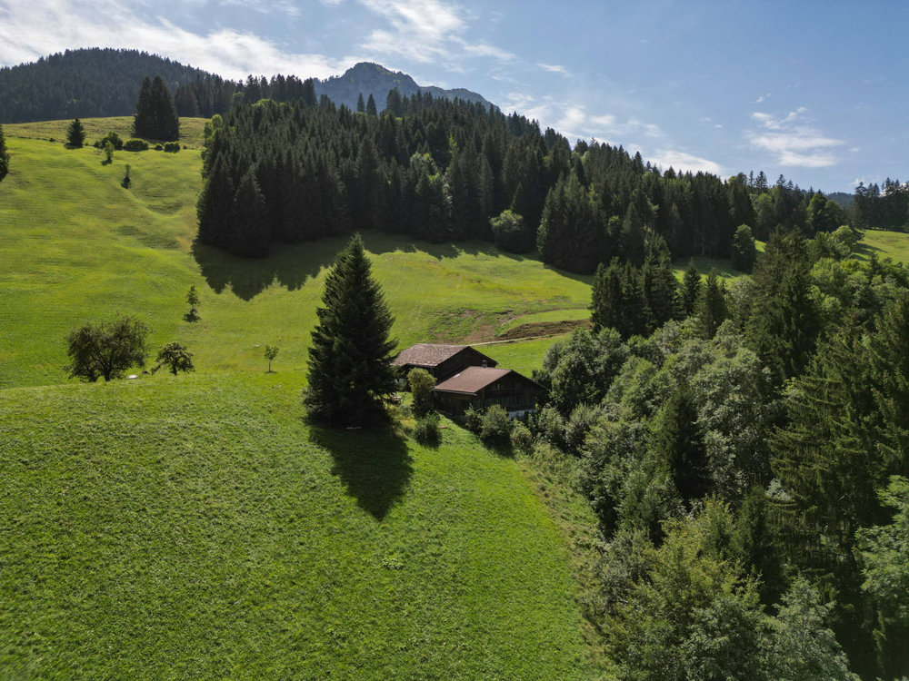 6 Zimmer Haus zum verkaufen in Château-d'Oex - Bild 1/8