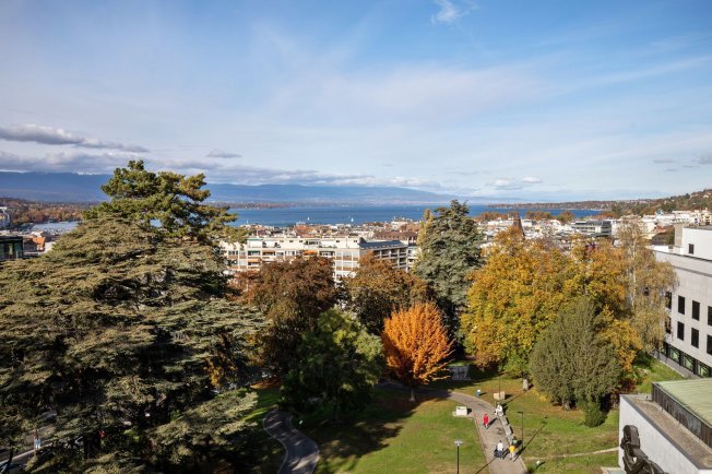 7 Zimmer Wohnung zu vermieten in Genève - Bild 1/1