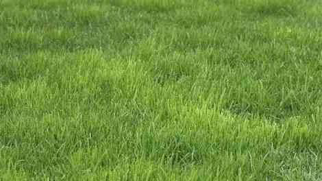Terreno di null locali in vendita a Bellmund - immagine 1/1
