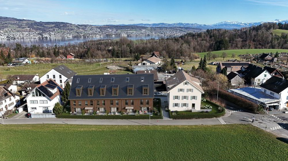 6.5 rooms House to buy in Horgen - image 1/11