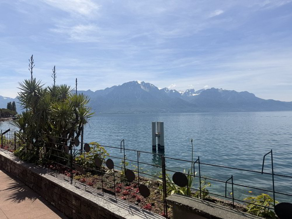 1.5 rooms Apartment for rent in Montreux - image 1/12