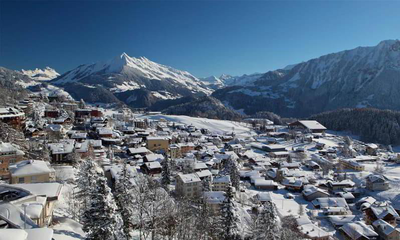 Bureau & Commerce null pièces à acheter à Leysin - image 1/1