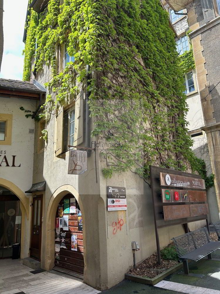 3 Zimmer Wohnung zu vermieten in Neuenburg - Bild 1/10