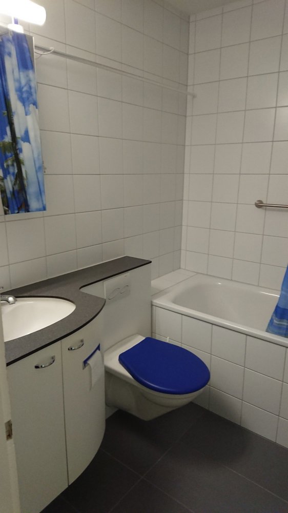 Appartamento di 2 locali in affitto a La Neuveville - immagine 1/5