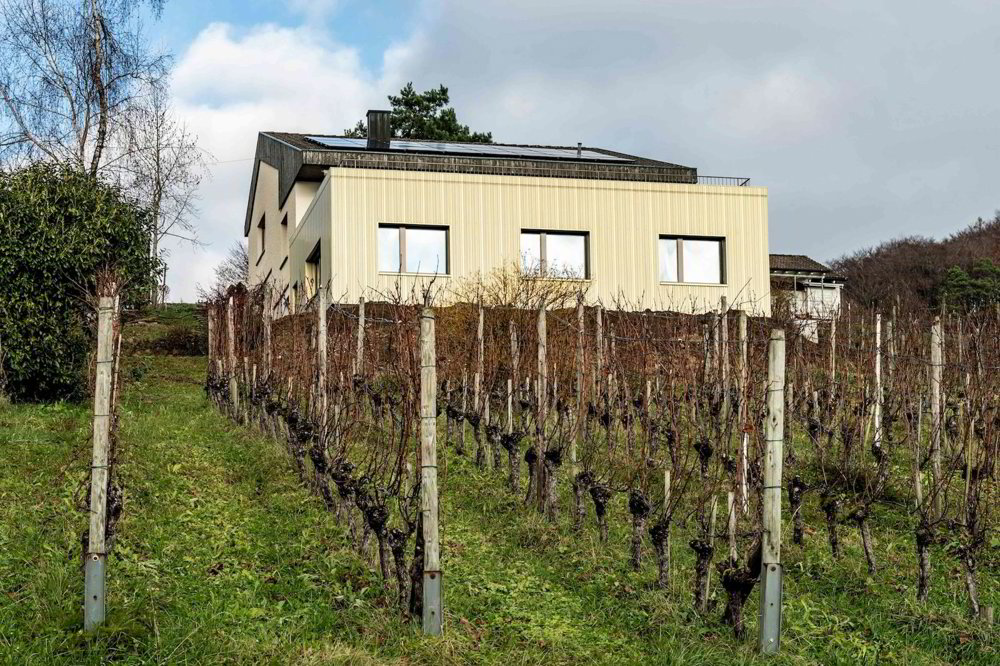 4.5 rooms House for rent in Uhwiesen - image 1/11
