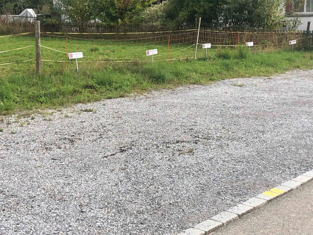 Parcheggio, garage di null locali in affitto a Löhningen - immagine 1/2