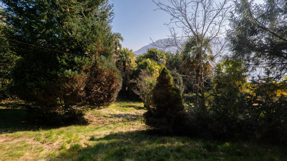 Terreno di null locali in vendita a Minusio - immagine 1/4