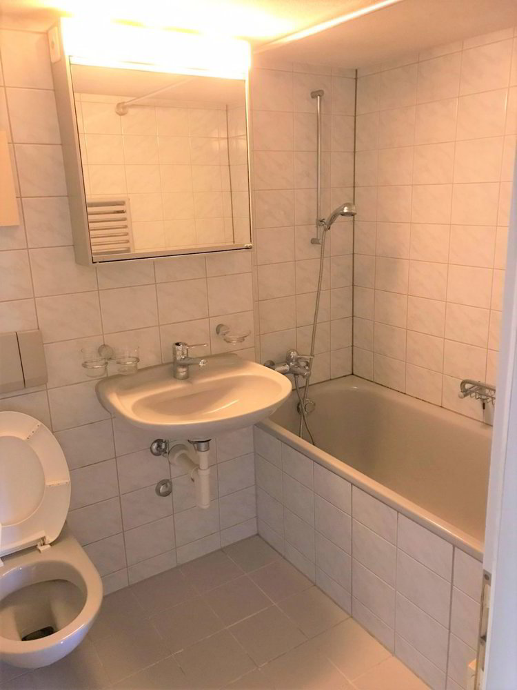 Appartement 2.5 pièces à louer à Thal - image 1/7