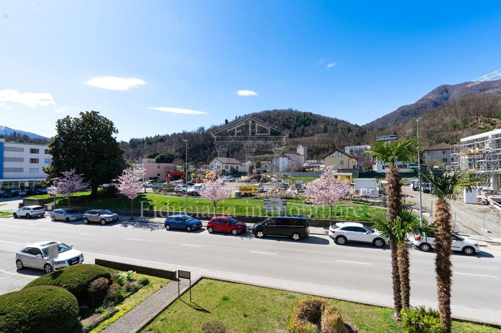 Ufficio & Commercio di 7 locali in affitto a Losone - immagine 1/8