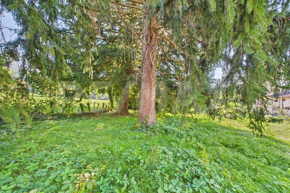 Terreno di null locali in vendita a Madonna del Piano - immagine 1/13