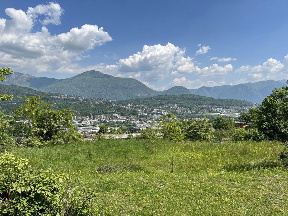 Terreno di null locali in vendita a Gravesano - immagine 1/1