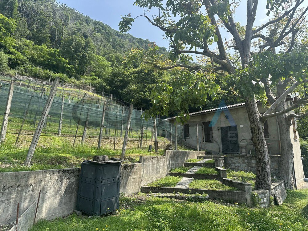 Terreno di null locali in vendita a Castel San Pietro - immagine 1/3